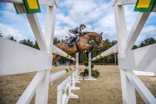 a horse jumping over a hurdle in a race