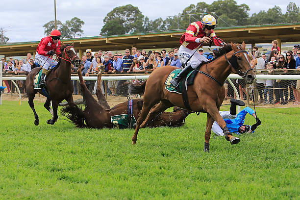 a horse falling over in a race