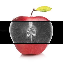 red-apple-weblarge1 scanning the core of an apple